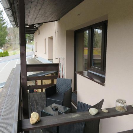 Pension Aura Spicak, Nektere Pokoje Se Saunou Železná Ruda Buitenkant foto