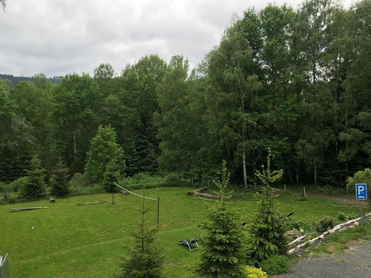 Pension Aura Spicak, Nektere Pokoje Se Saunou Železná Ruda Buitenkant foto
