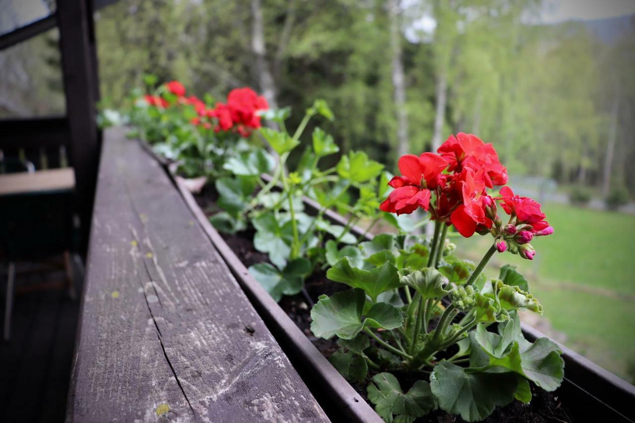 Pension Aura Spicak, Nektere Pokoje Se Saunou Železná Ruda Buitenkant foto