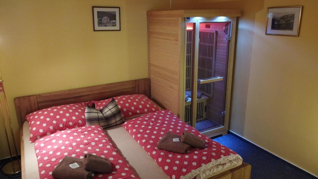 Pension Aura Spicak, Nektere Pokoje Se Saunou Železná Ruda Buitenkant foto